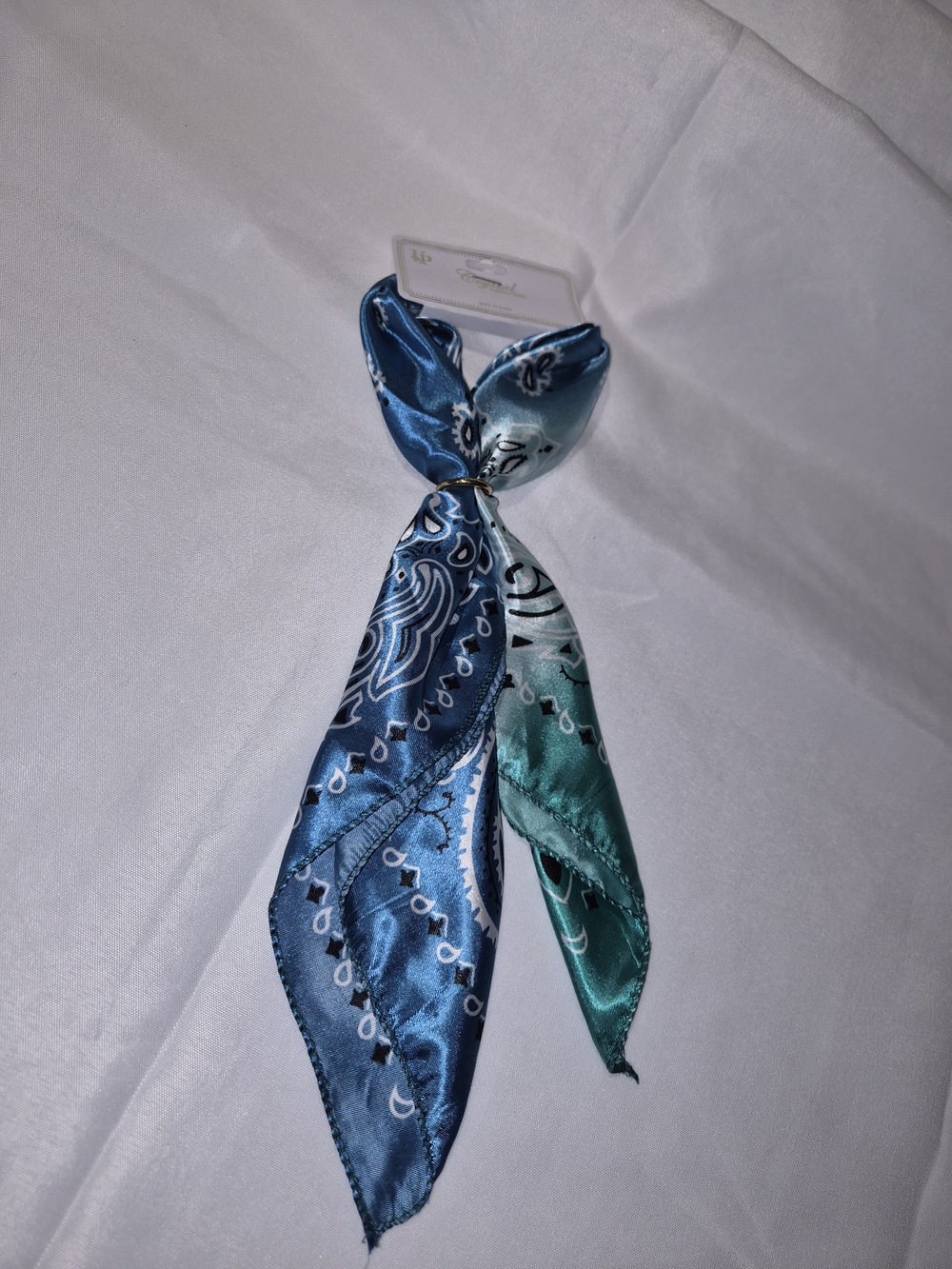 Silky Blue & Teal Bandana Print Neck Scarf